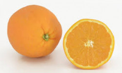 Taronja (primeres) 